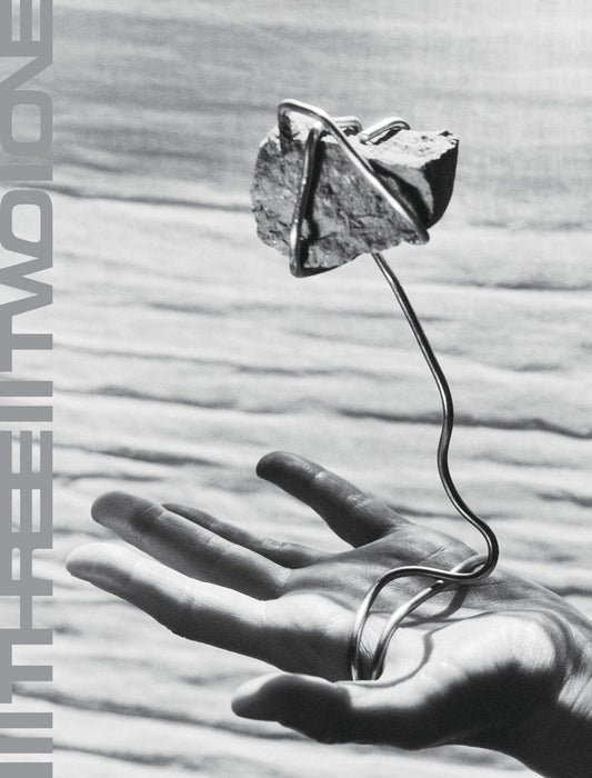 ORDER ISSUE 02 - COVER 01 BY ROBERT LINDHOLM